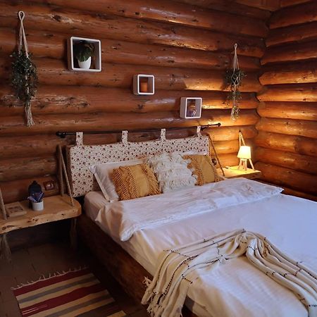 Cabana Rustic Balea Cartisoara Exterior photo