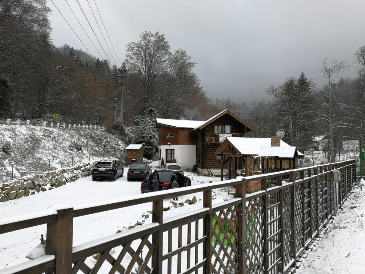 Cabana Rustic Balea Cartisoara Exterior photo