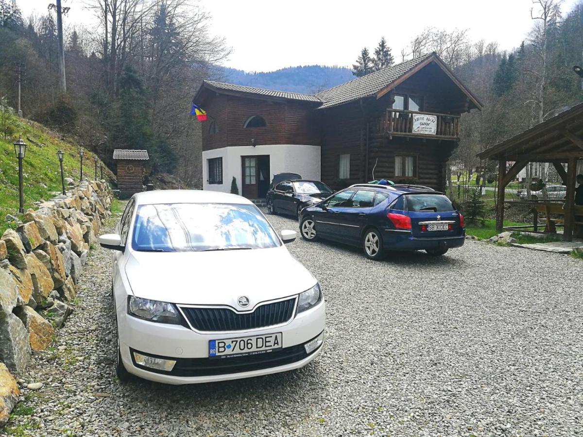 Cabana Rustic Balea Cartisoara Exterior photo