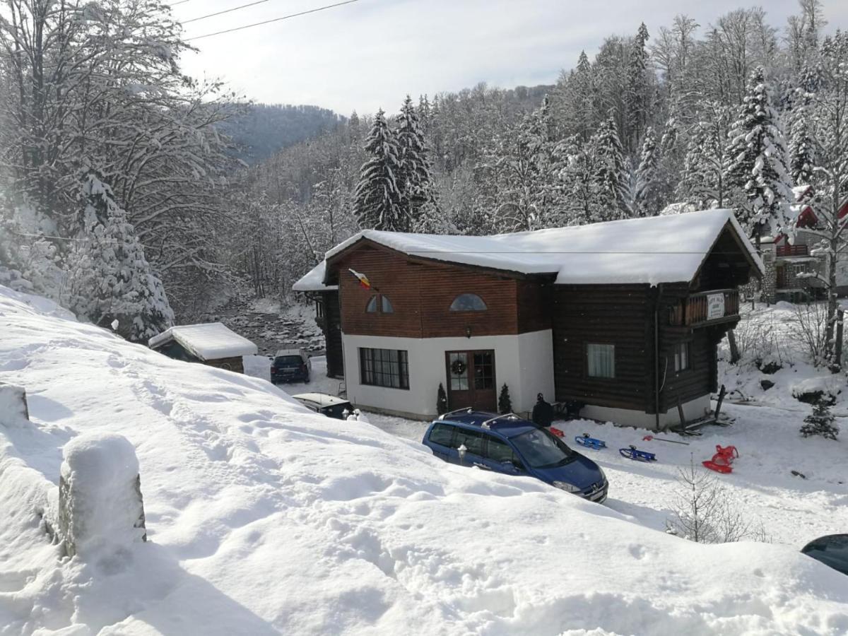 Cabana Rustic Balea Cartisoara Exterior photo