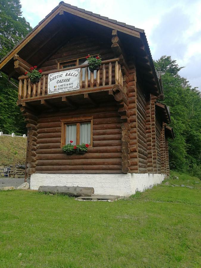 Cabana Rustic Balea Cartisoara Exterior photo