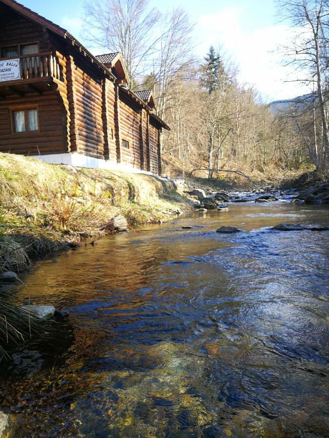 Cabana Rustic Balea Cartisoara Exterior photo