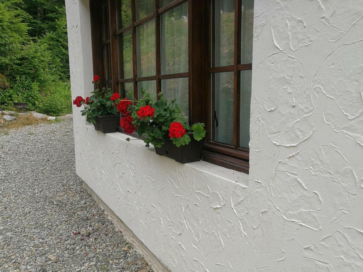 Cabana Rustic Balea Cartisoara Exterior photo