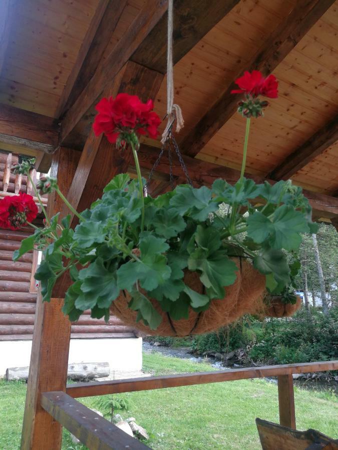 Cabana Rustic Balea Cartisoara Exterior photo