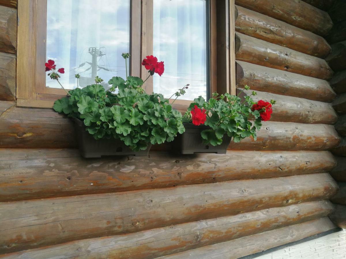 Cabana Rustic Balea Cartisoara Exterior photo